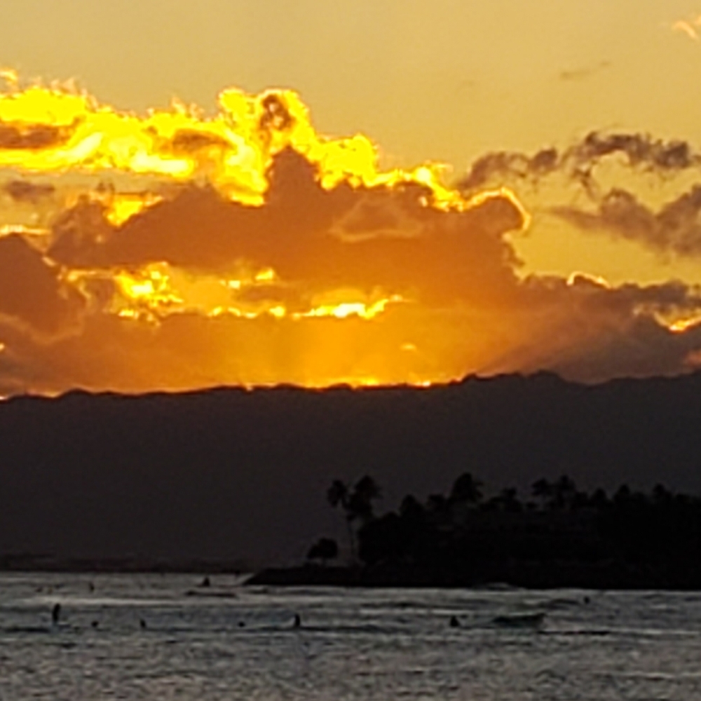 Meet your Posher, Carolyn